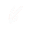 Rabbolt