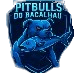 Pitbulls do Bacalhau