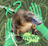 Parry the Platypus