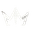 Double M