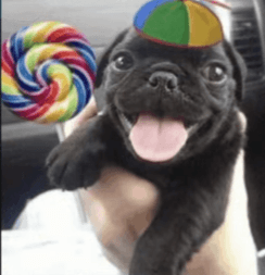 Get Candy