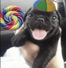 Get Candy