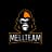 Mellteam