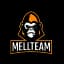 Mellteam